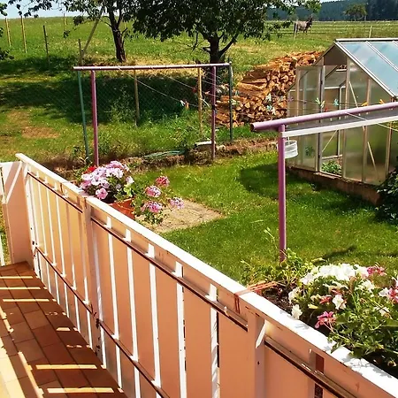 Apartment Waldachtal